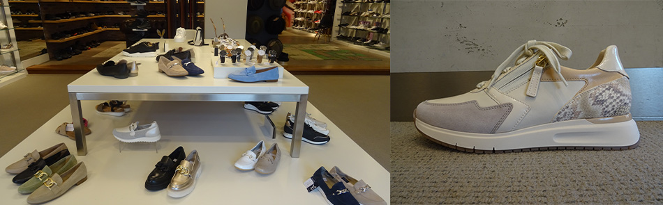 Jan van Diesen Schoen- en Sportmode