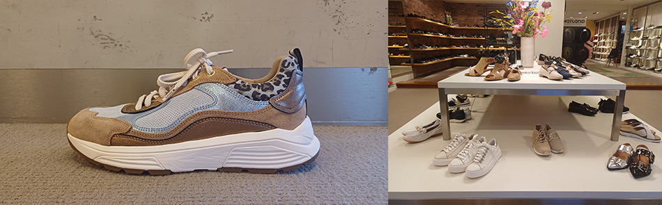 Jan van Diesen Schoen- en Sportmode