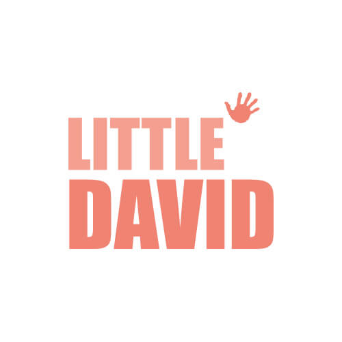 Little David